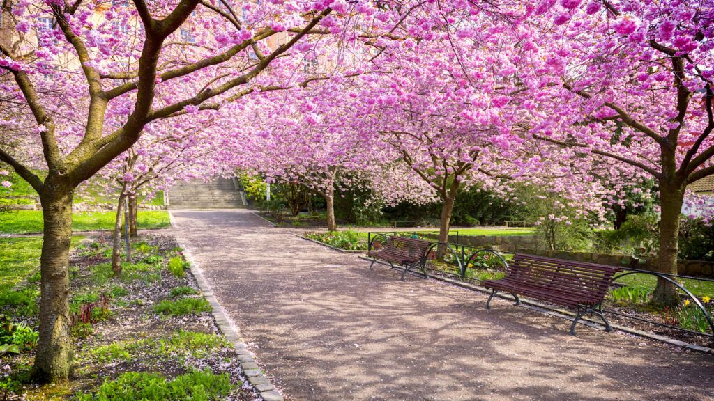 “Hungary Prepares to Spring Forward into Daylight Saving Time, Embracing the Promise of Renewal and Longer Days Ahead”