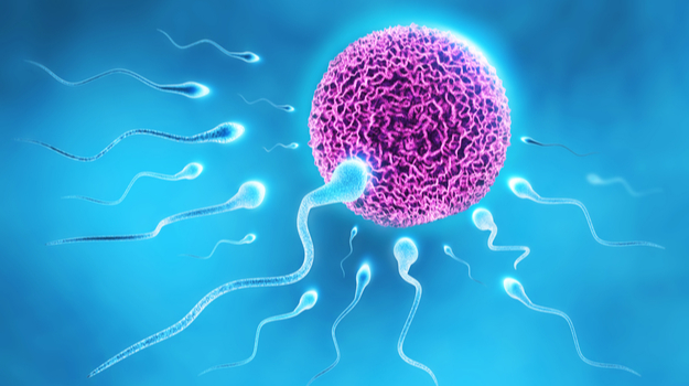 A Non-Hormonal, Reversible, and Non-Toxic Male Birth Control Could Be a Step Closer